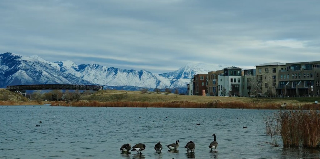 Evening lake with geese, modern homes, and snow-capped mountains