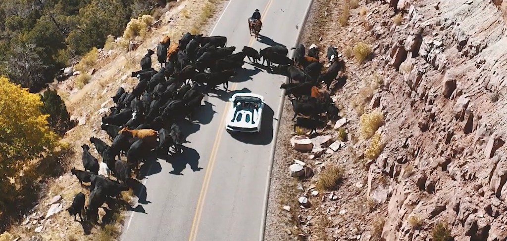 Aerial of white Aventador on a Moab canyon road among a cattle drive